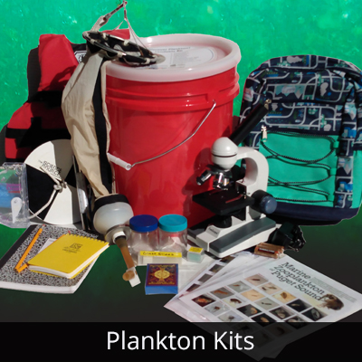 Planton Kit Image