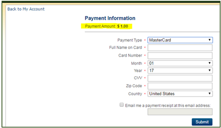 selecting items when paying fines online