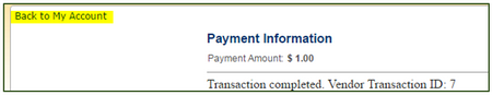 entering payment info when paying fines online