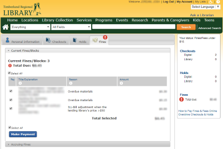 my account paying fines tab