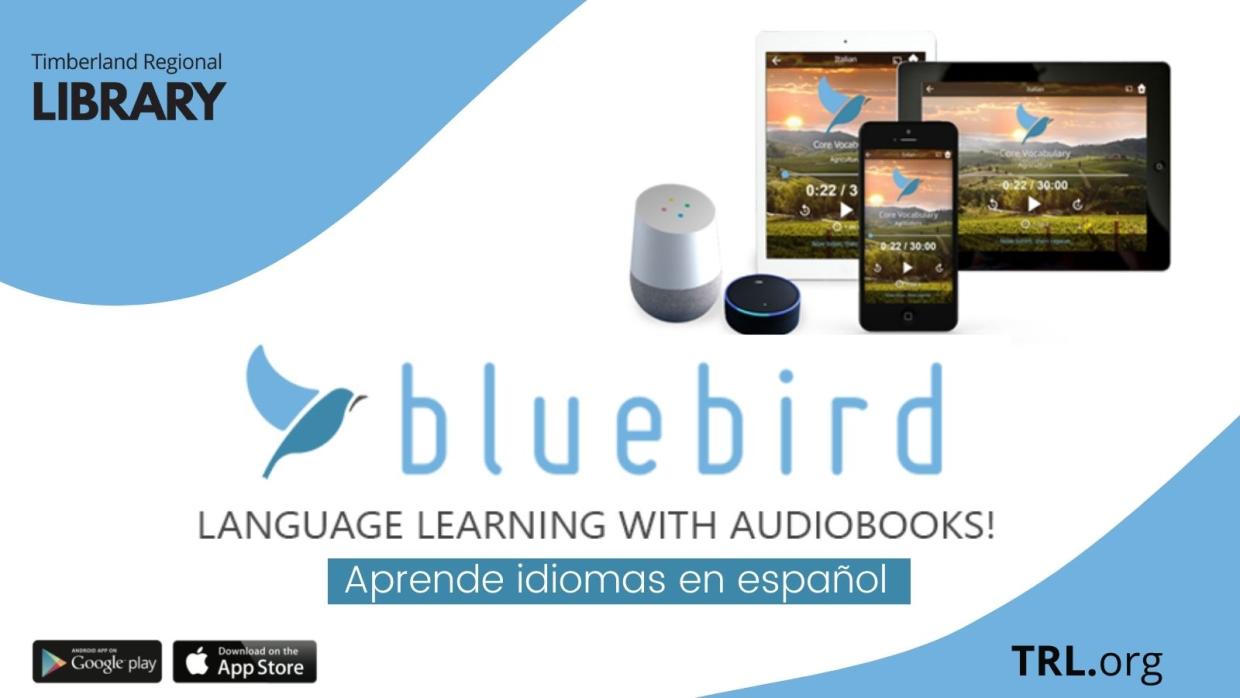 blue Bird Language image